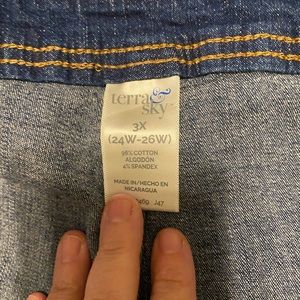 Terra & Sky denim shorts size 3X